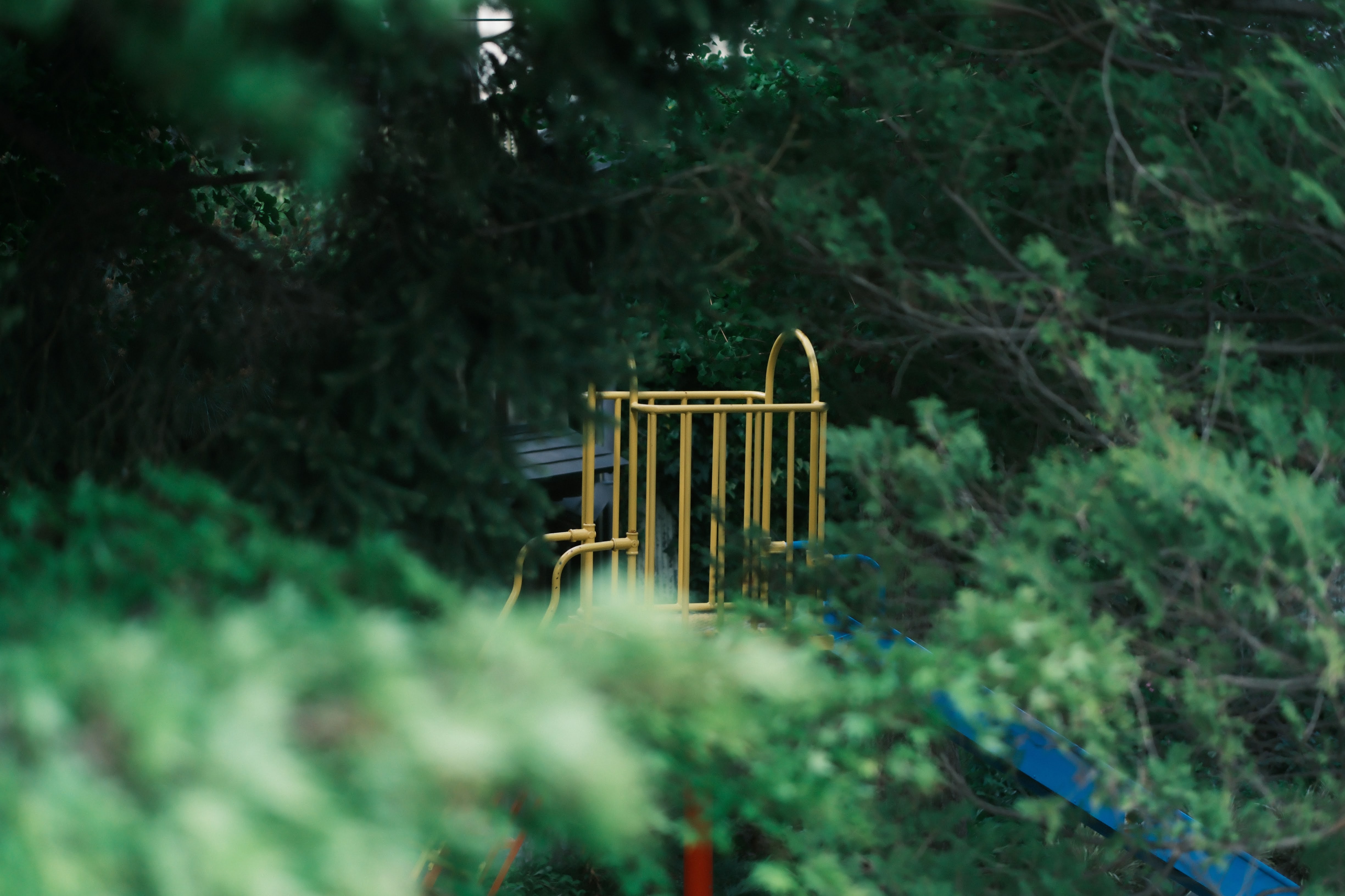 FUJIFILM X-H2 クラシックネガ レシピ4 公園 緑 遊具