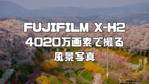 FUJIFILM X-H2で撮る4020万画素の風景写真・一目千本桜の桜並木